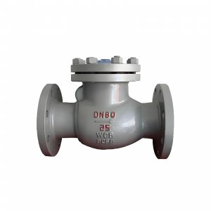 DN50 PN25 介質：甲胺，溫度：80℃止回閥